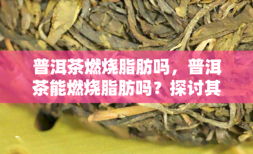 普洱茶燃烧脂肪吗，普洱茶能燃烧脂肪吗？探讨其科学依据与效果