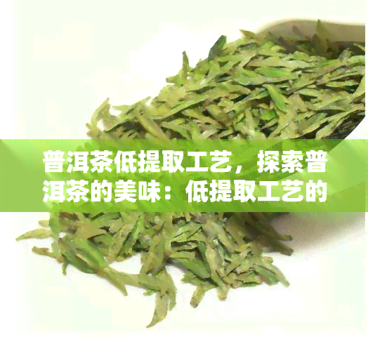 普洱茶低提取工艺，探索普洱茶的美味：低提取工艺的魅力