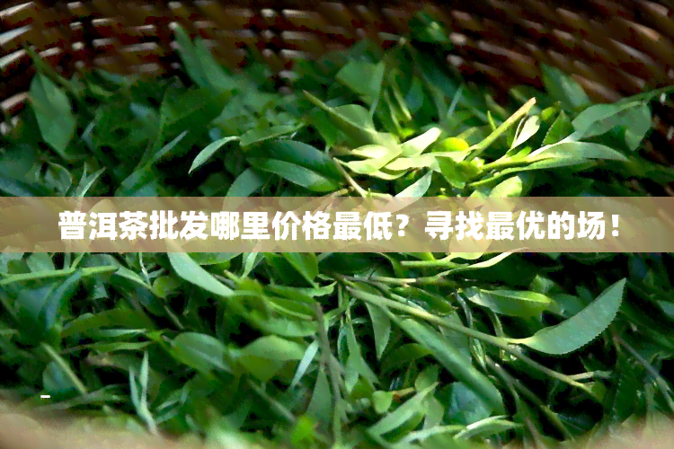 普洱茶批发哪里价格更低？寻找更优的场！