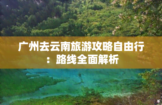 广州去云南旅游攻略自由行：路线全面解析