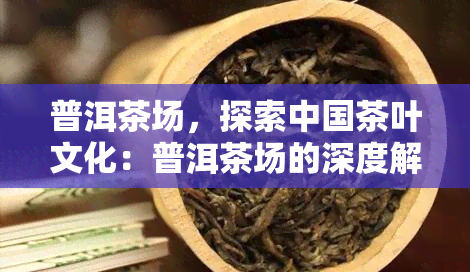 普洱茶场，探索中国茶叶文化：普洱茶场的深度解析