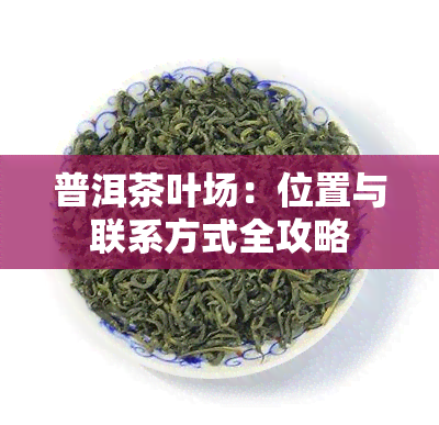 普洱茶叶场：位置与联系方式全攻略