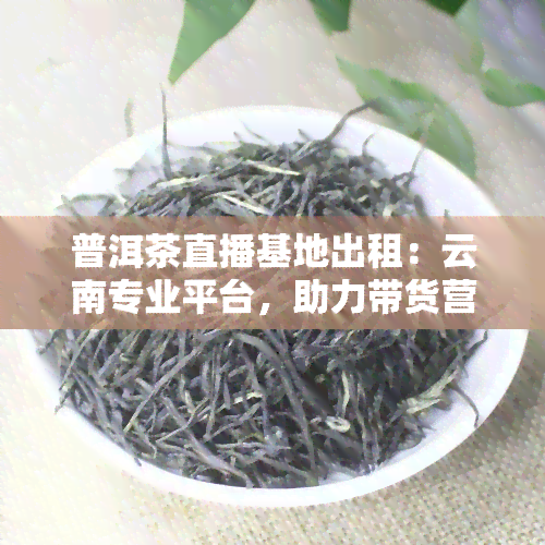 普洱茶直播基地出租：云南专业平台，助力带货营销