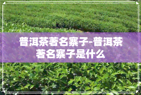 普洱茶著名寨子-普洱茶著名寨子是什么