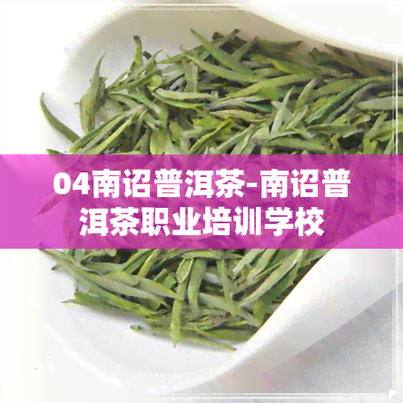 04南诏普洱茶-南诏普洱茶职业培训学校