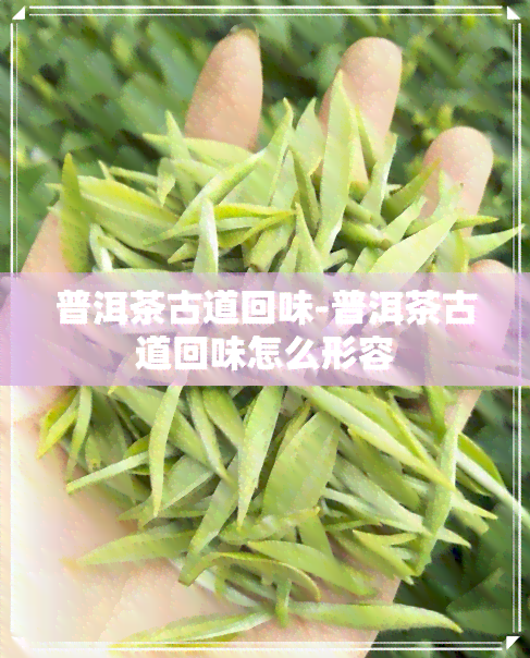 普洱茶古道回味-普洱茶古道回味怎么形容