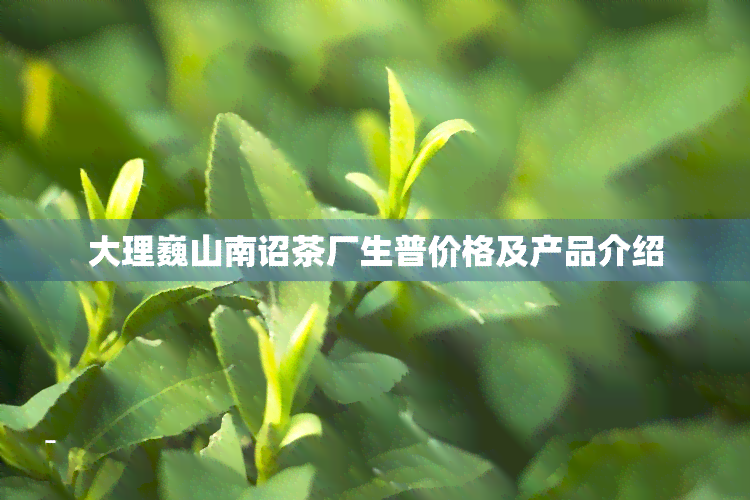 大理巍山南诏茶厂生普价格及产品介绍