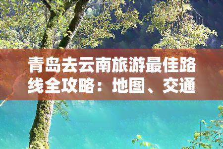 青岛去云南旅游更佳路线全攻略：地图、交通、景点推荐