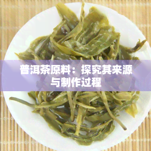 普洱茶原料：探究其来源与制作过程