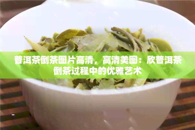 普洱茶倒茶图片高清，高清美图：欣普洱茶倒茶过程中的优雅艺术