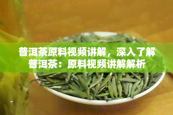 普洱茶原料视频讲解，深入了解普洱茶：原料视频讲解解析