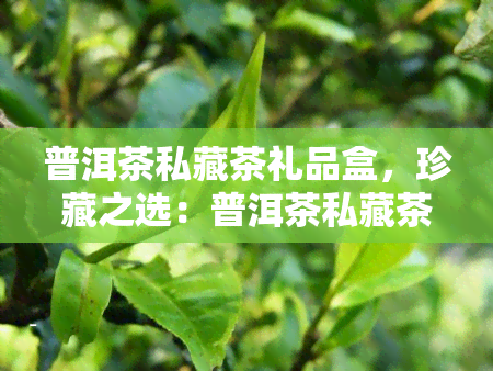 普洱茶私藏茶礼品盒，珍藏之选：普洱茶私藏茶礼品盒，品味独特茗香