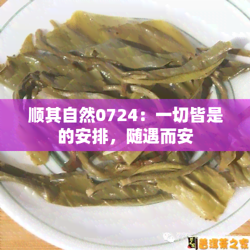 顺其自然0724：一切皆是的安排，随遇而安