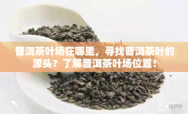 普洱茶叶场在哪里，寻找普洱茶叶的源头？了解普洱茶叶场位置！