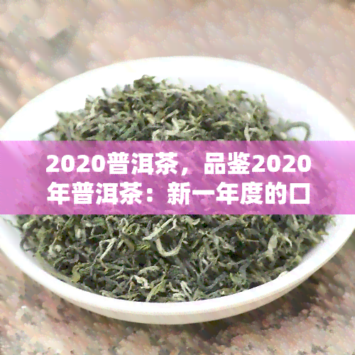 2020普洱茶，品鉴2020年普洱茶：新一年度的口感与价值解析