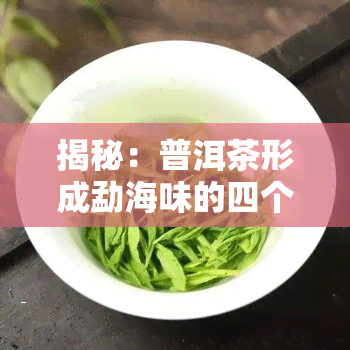 揭秘：普洱茶形成勐海味的四个主要因素!