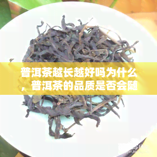 普洱茶越长越好吗为什么，普洱茶的品质是否会随着时间增长而提升？原因解析