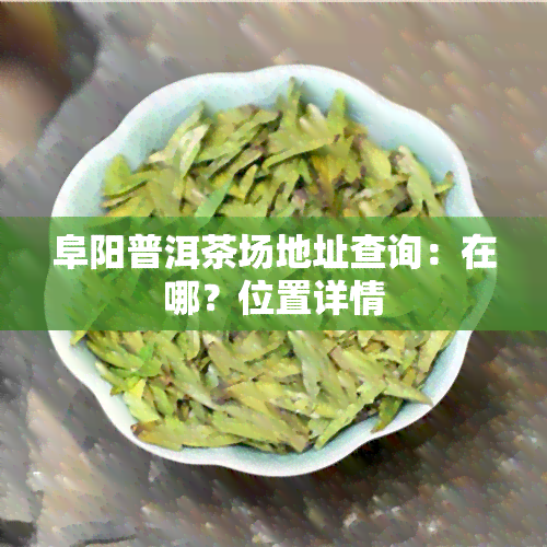 阜阳普洱茶场地址查询：在哪？位置详情