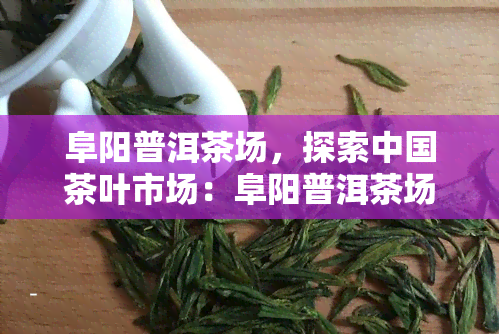 阜阳普洱茶场，探索中国茶叶市场：阜阳普洱茶场的独特魅力