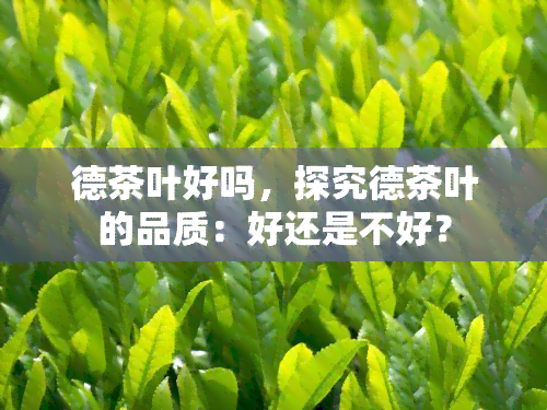 德茶叶好吗，探究德茶叶的品质：好还是不好？