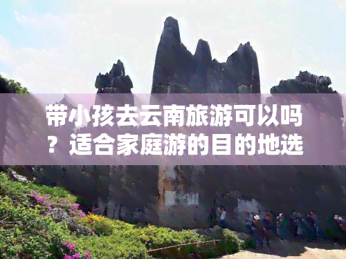 带小孩去云南旅游可以吗？适合家庭游的目的地选择