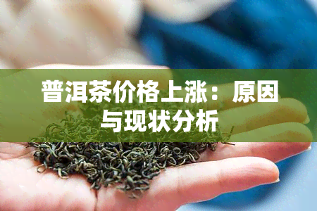 普洱茶价格上涨：原因与现状分析