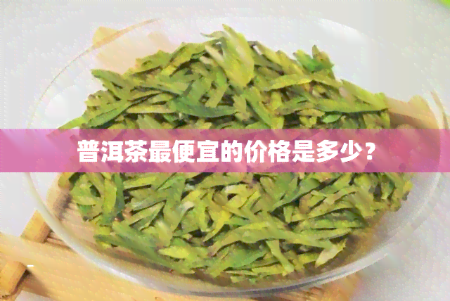 普洱茶更便宜的价格是多少？