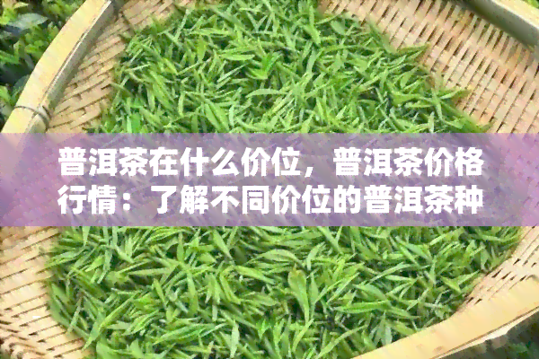 普洱茶在什么价位，普洱茶价格行情：了解不同价位的普洱茶种类与品质