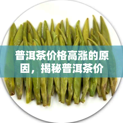 普洱茶价格高涨的原因，揭秘普洱茶价格高涨的背后原因