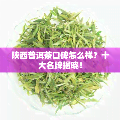 陕西普洱茶口碑怎么样？十大名牌揭晓！