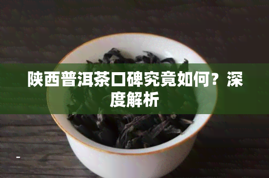 陕西普洱茶口碑究竟如何？深度解析