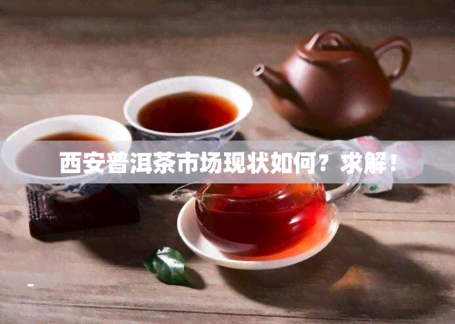 西安普洱茶市场现状如何？求解！