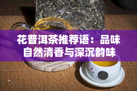 花普洱茶推荐语：品味自然清香与深沉韵味