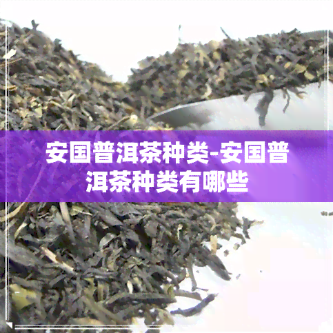 安国普洱茶种类-安国普洱茶种类有哪些