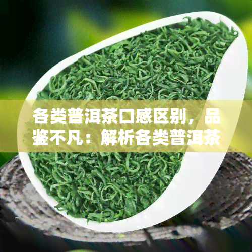 各类普洱茶口感区别，品鉴不凡：解析各类普洱茶的口感区别