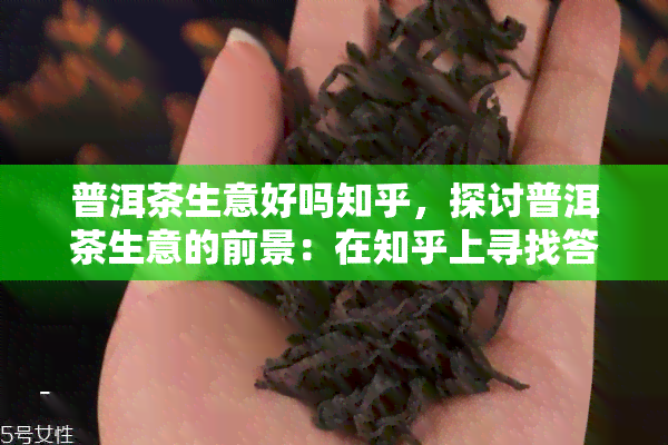 普洱茶生意好吗知乎，探讨普洱茶生意的前景：在知乎上寻找答案