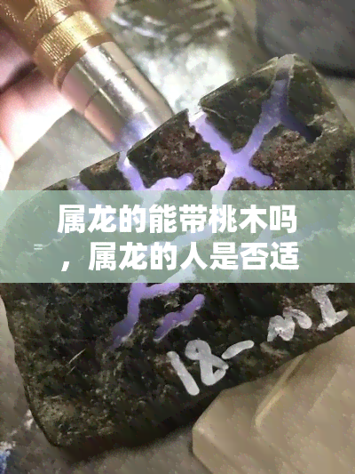 属龙的能带桃木吗，属龙的人是否适合佩戴桃木？