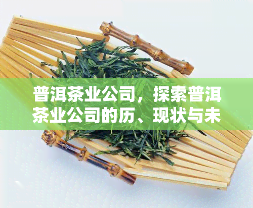 普洱茶业公司，探索普洱茶业公司的历、现状与未来