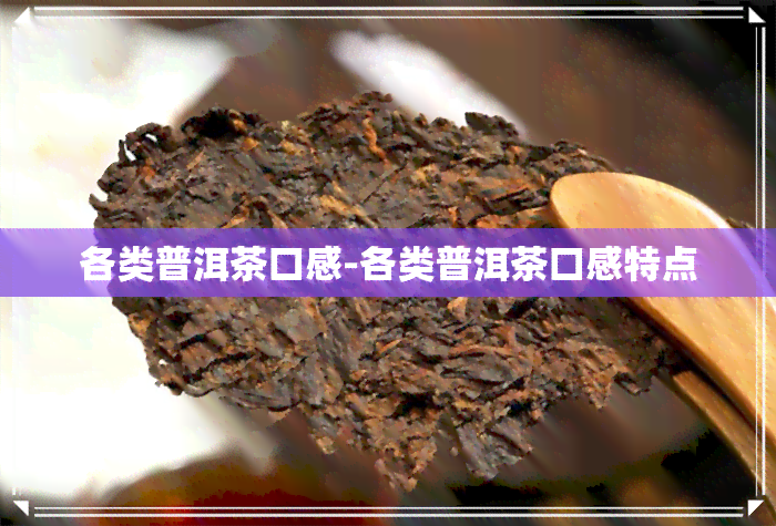 各类普洱茶口感-各类普洱茶口感特点