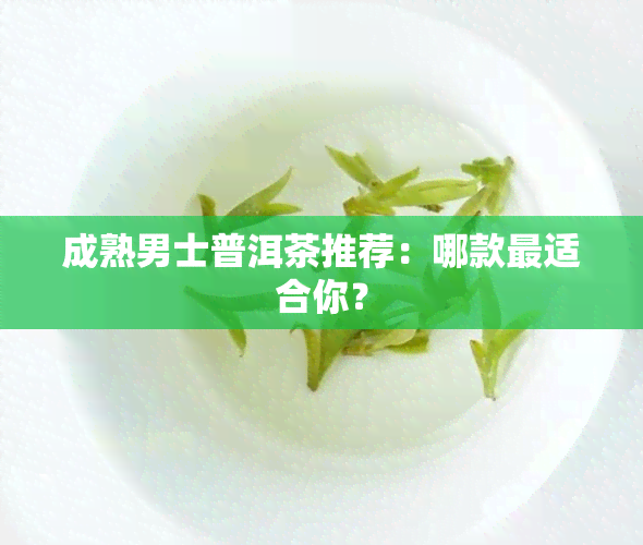 成熟男士普洱茶推荐：哪款最适合你？