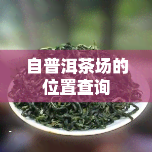 自普洱茶场的位置查询