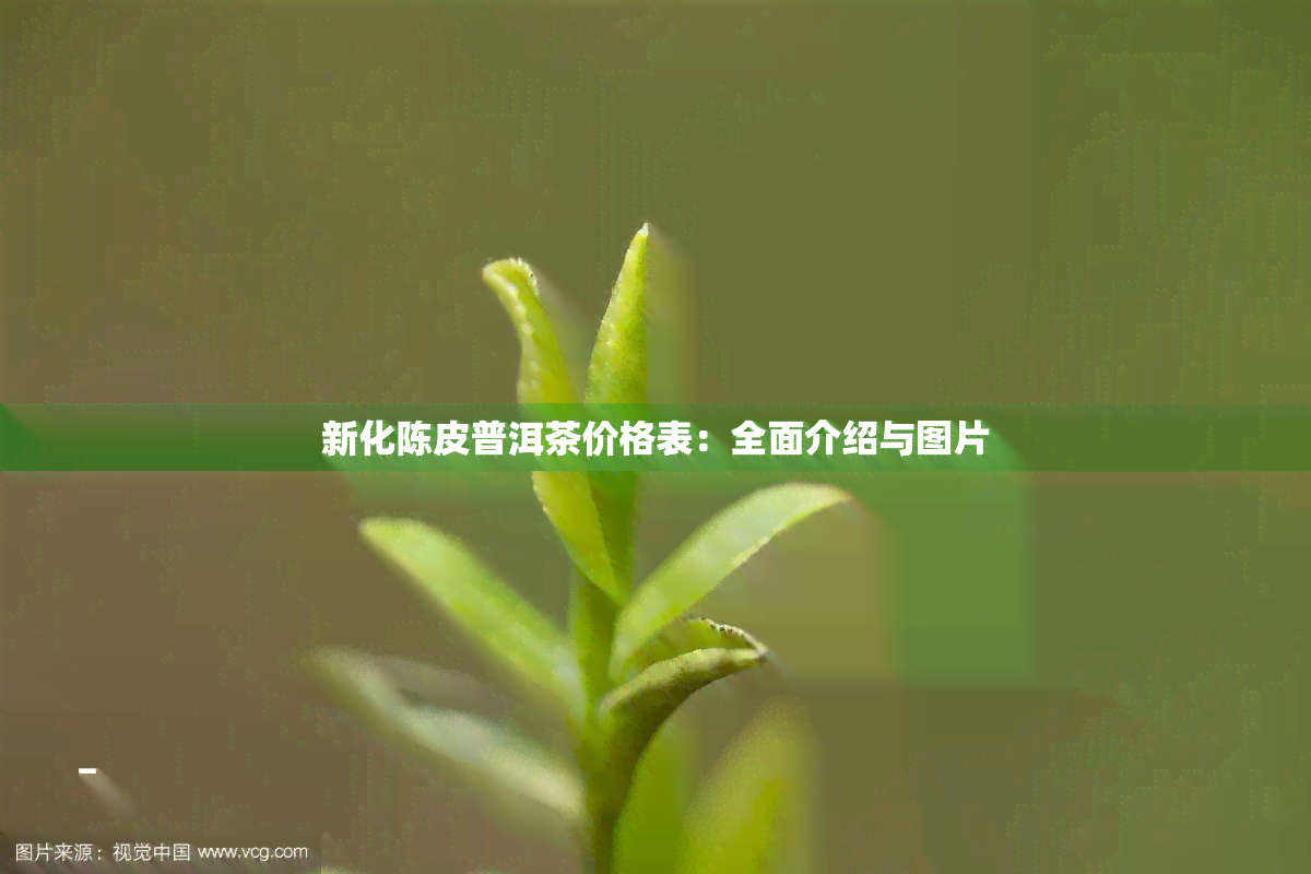 新化陈皮普洱茶价格表：全面介绍与图片