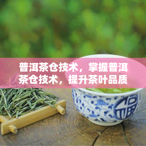 普洱茶仓技术，掌握普洱茶仓技术，提升茶叶品质与价值