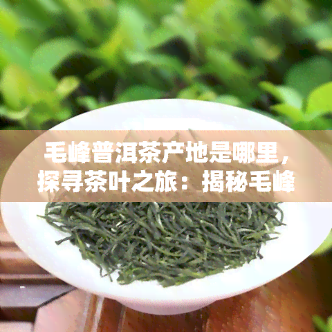 毛峰普洱茶产地是哪里，探寻茶叶之旅：揭秘毛峰普洱茶的产地