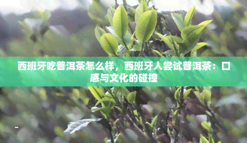 西班牙吃普洱茶怎么样，西班牙人尝试普洱茶：口感与文化的碰撞