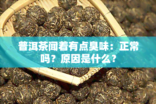 普洱茶闻着有点臭味：正常吗？原因是什么？