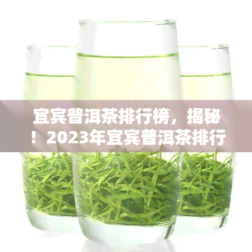 宜宾普洱茶排行榜，揭秘！2023年宜宾普洱茶排行榜出炉，谁是你的更爱？