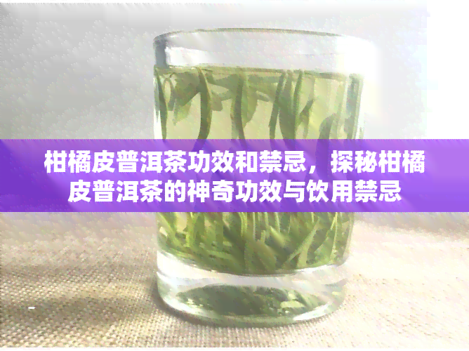 柑橘皮普洱茶功效和禁忌，探秘柑橘皮普洱茶的神奇功效与饮用禁忌