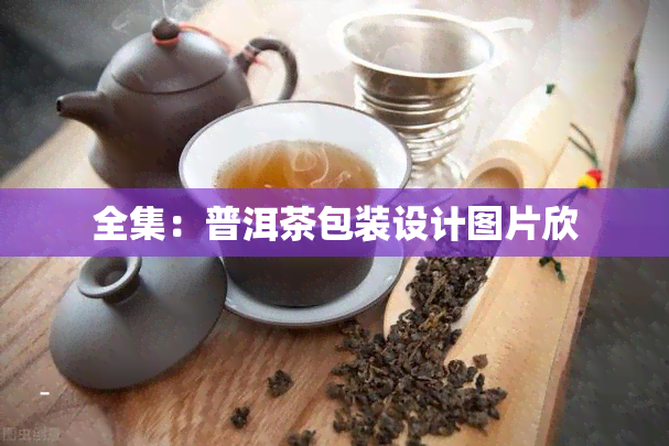 全集：普洱茶包装设计图片欣