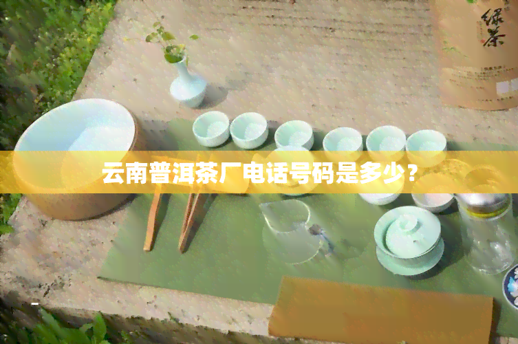 云南普洱茶厂电话号码是多少？